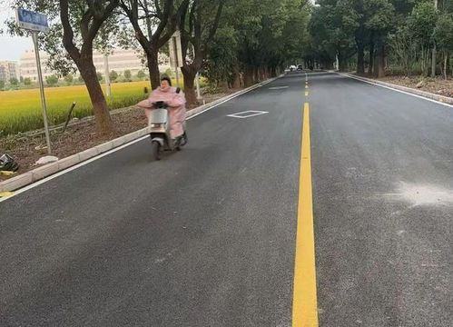 改造里程達46公里 2024年松江農村公路提檔升級改造項目完工