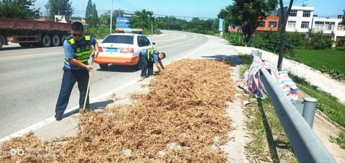 維護公路運行安全 天門開展路域環境綜合整治行動
